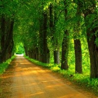 A Lesson in Reflexivity